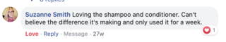 Facebook comment review about this moerie product