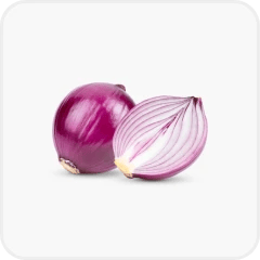 Onion bulb extract (Allium cepa)