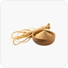 Panax ginseng root extract (Panax ginseng)