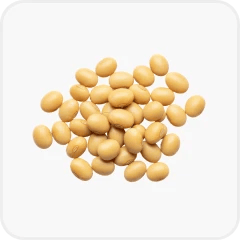 Hydrolysed soy protein